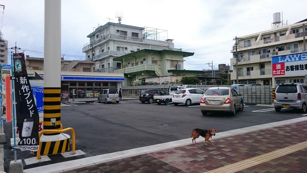 Koza Share House Hotel Okinawa Bagian luar foto
